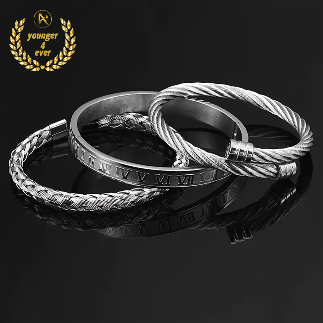 Stainless Steel Twist Bangle Bracelets Set of 3
