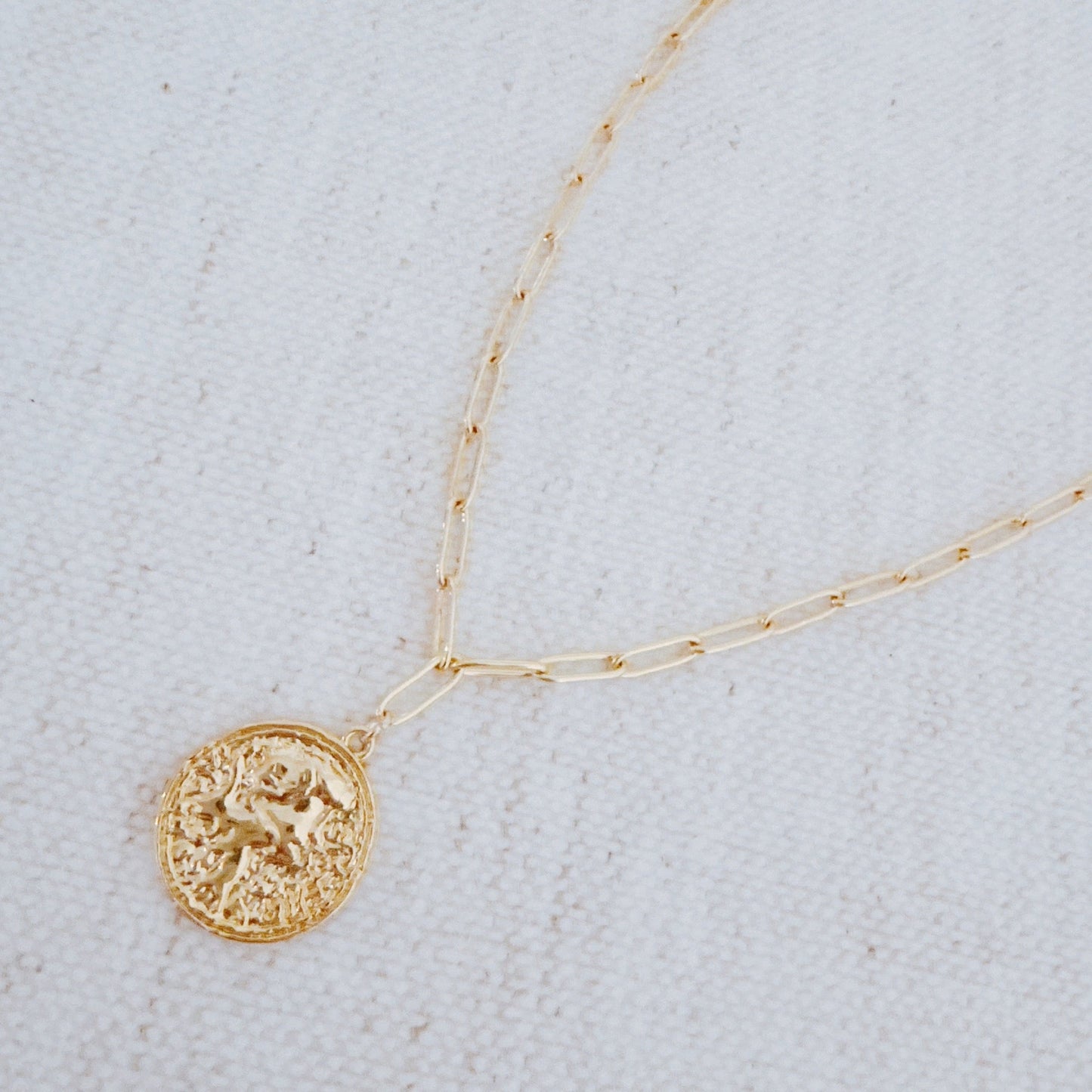 Old World Coin Link Chain Necklace